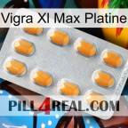 Vigra Xl Max Platinum cialis3